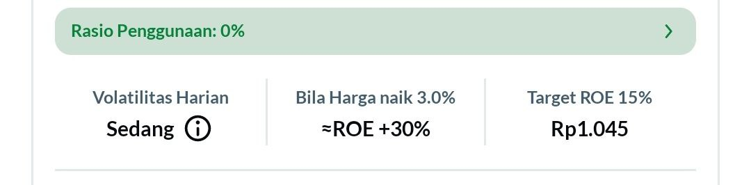 xtra day trading RoE